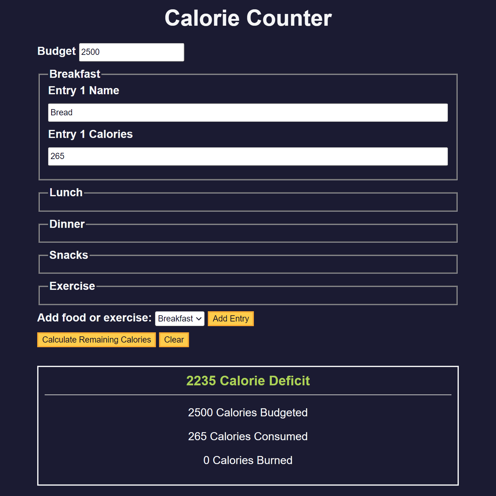 Calorie Counter Project Screenshot.